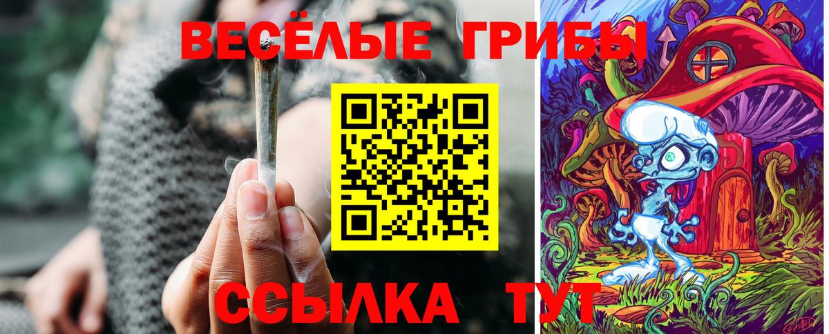 Галлюциногенные грибы Psilocybe Алушта