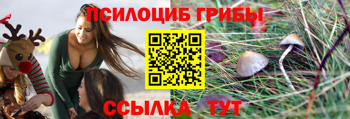 Псилоцибиновые грибы Cubensis  Псилоцибиновые грибы ЛСД  Алушта  Вход с VPN 